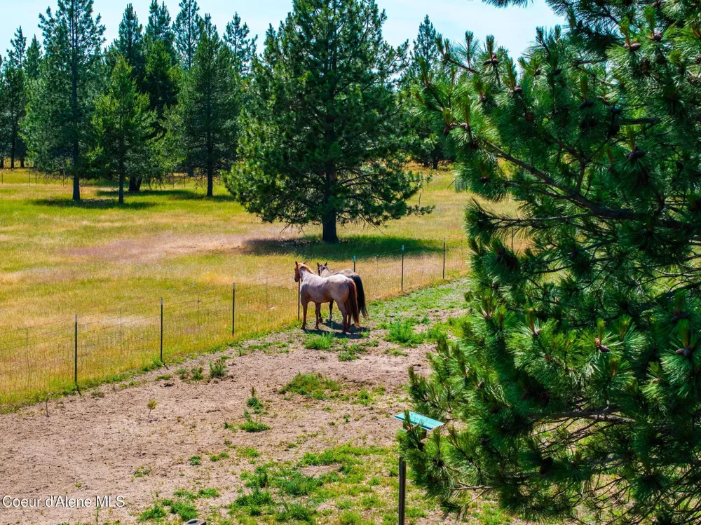 30267 WHEATRIDGE ROAD Athol, ID 83801