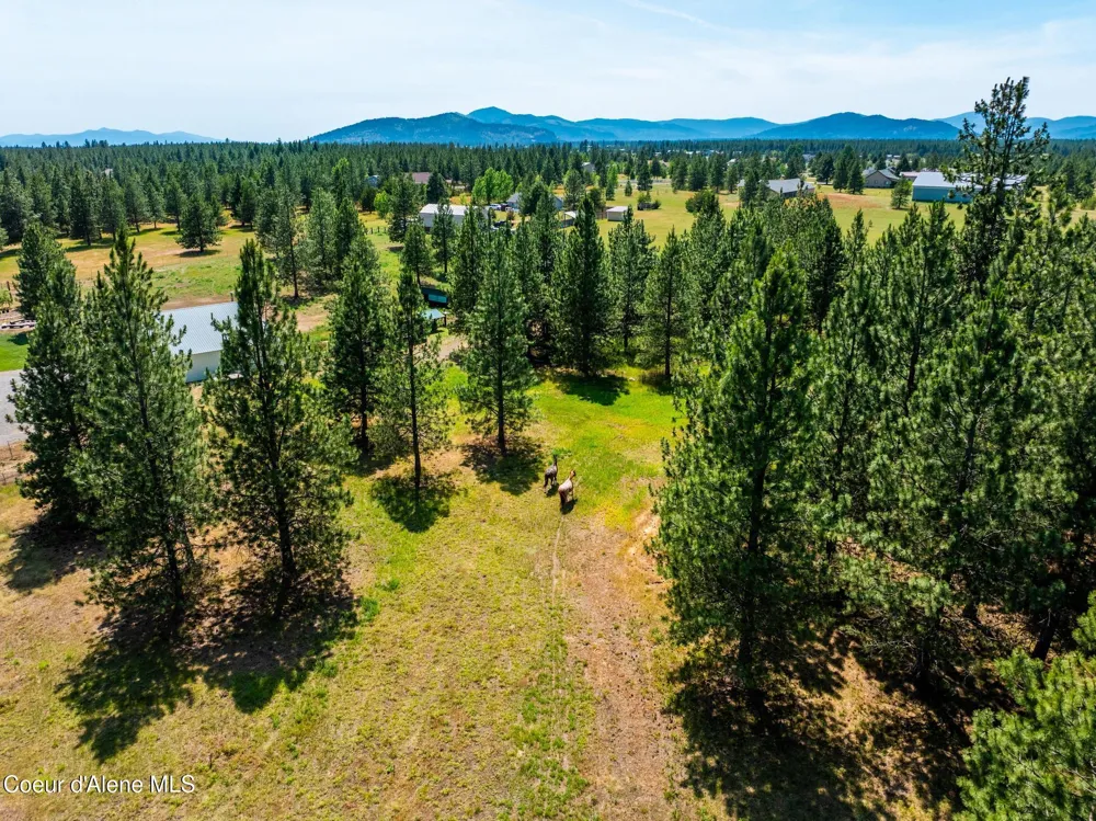 30267 WHEATRIDGE ROAD Athol, ID 83801