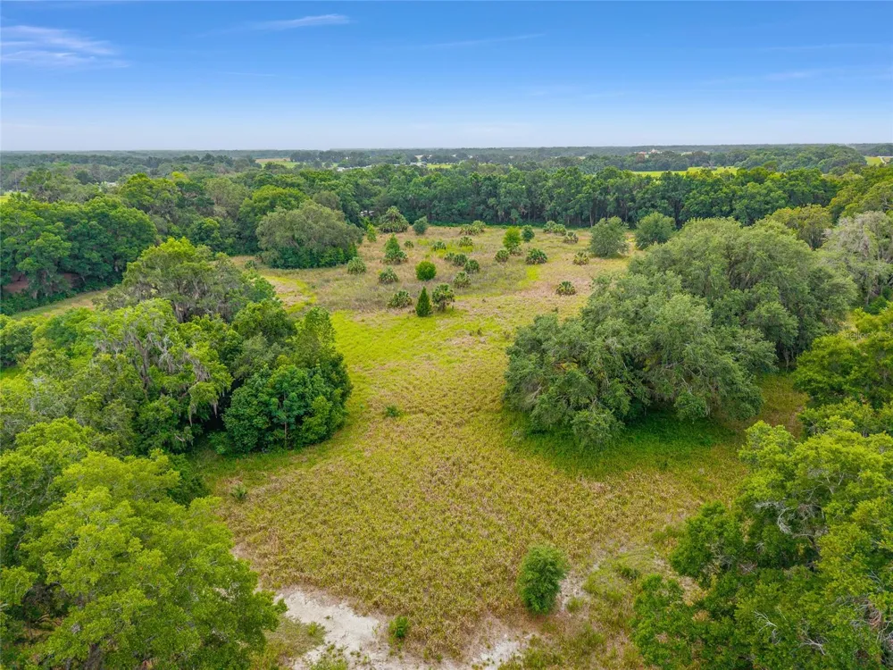 TBD S HIGHWAY 301 Summerfield, FL 34491