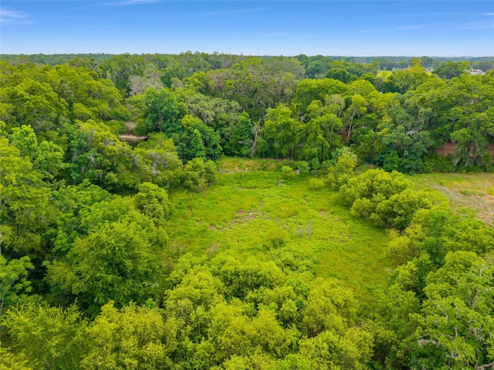 TBD S HIGHWAY 301 Summerfield, FL 34491
