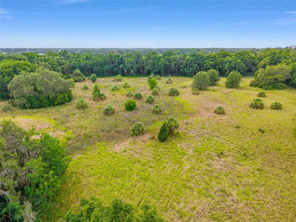 TBD S HIGHWAY 301 Summerfield, FL 34491