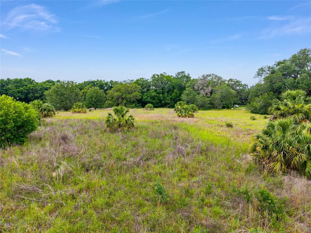 TBD S HIGHWAY 301 Summerfield, FL 34491