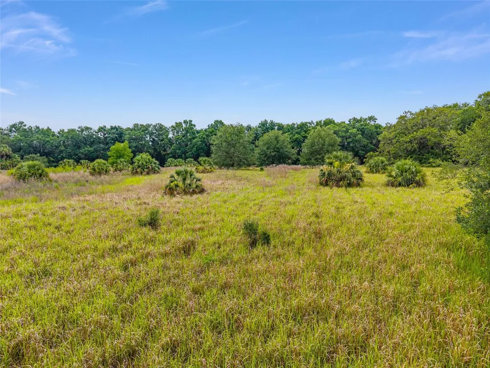 TBD S HIGHWAY 301 Summerfield, FL 34491