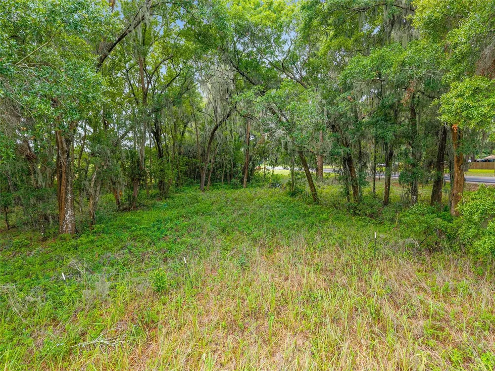 TBD S HIGHWAY 301 Summerfield, FL 34491
