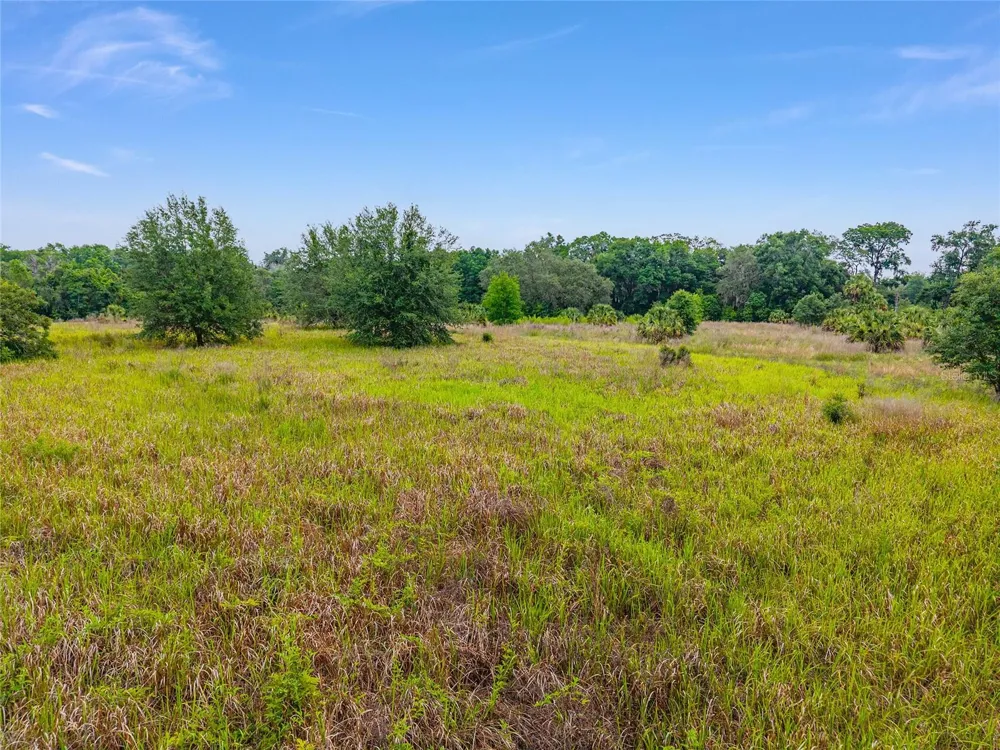 TBD S HIGHWAY 301 Summerfield, FL 34491
