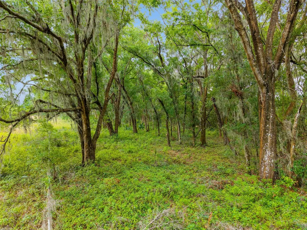 TBD S HIGHWAY 301 Summerfield, FL 34491