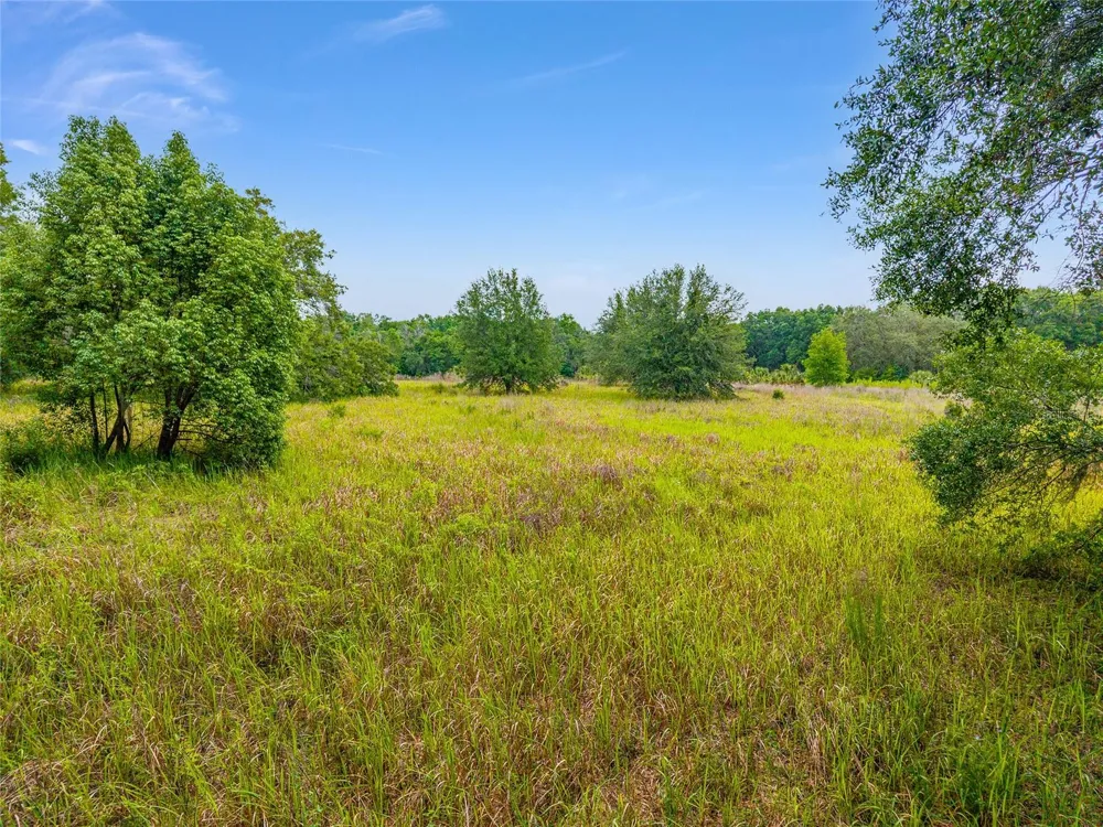 TBD S HIGHWAY 301 Summerfield, FL 34491