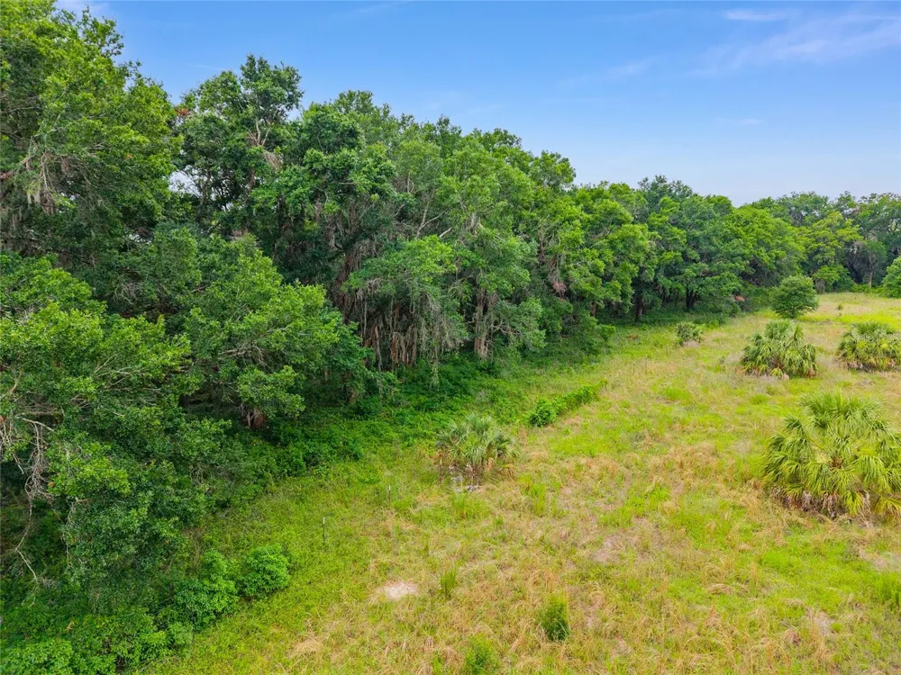 TBD S HIGHWAY 301 Summerfield, FL 34491