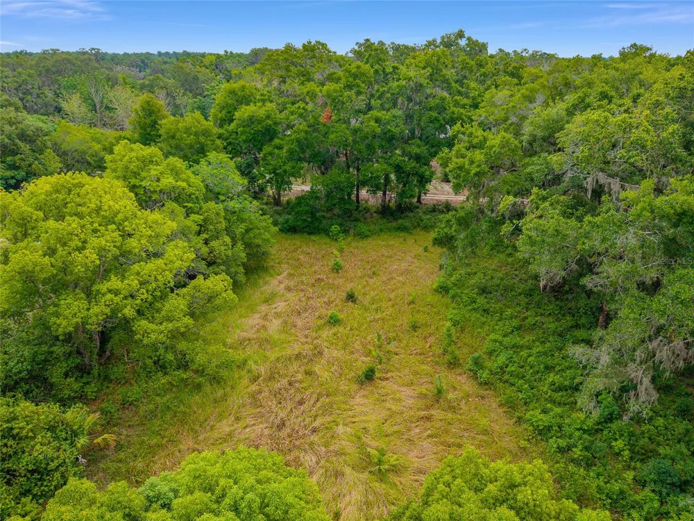 TBD S HIGHWAY 301 Summerfield, FL 34491