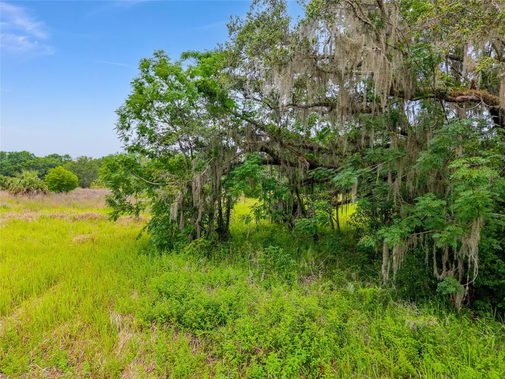 TBD S HIGHWAY 301 Summerfield, FL 34491