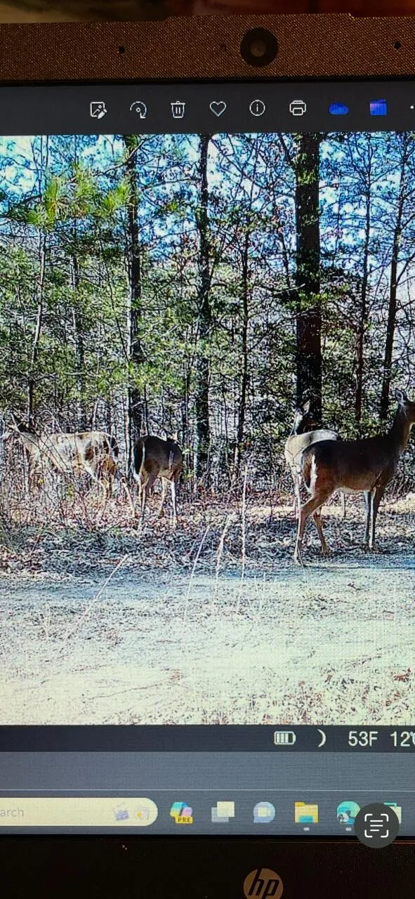0 Echo Point Road Dunlap, TN 37327