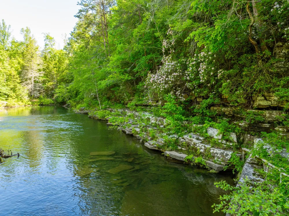 0 Echo Point Road Dunlap, TN 37327