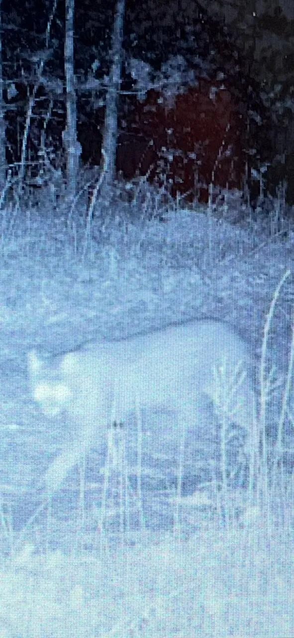 0 Echo Point Road Dunlap, TN 37327