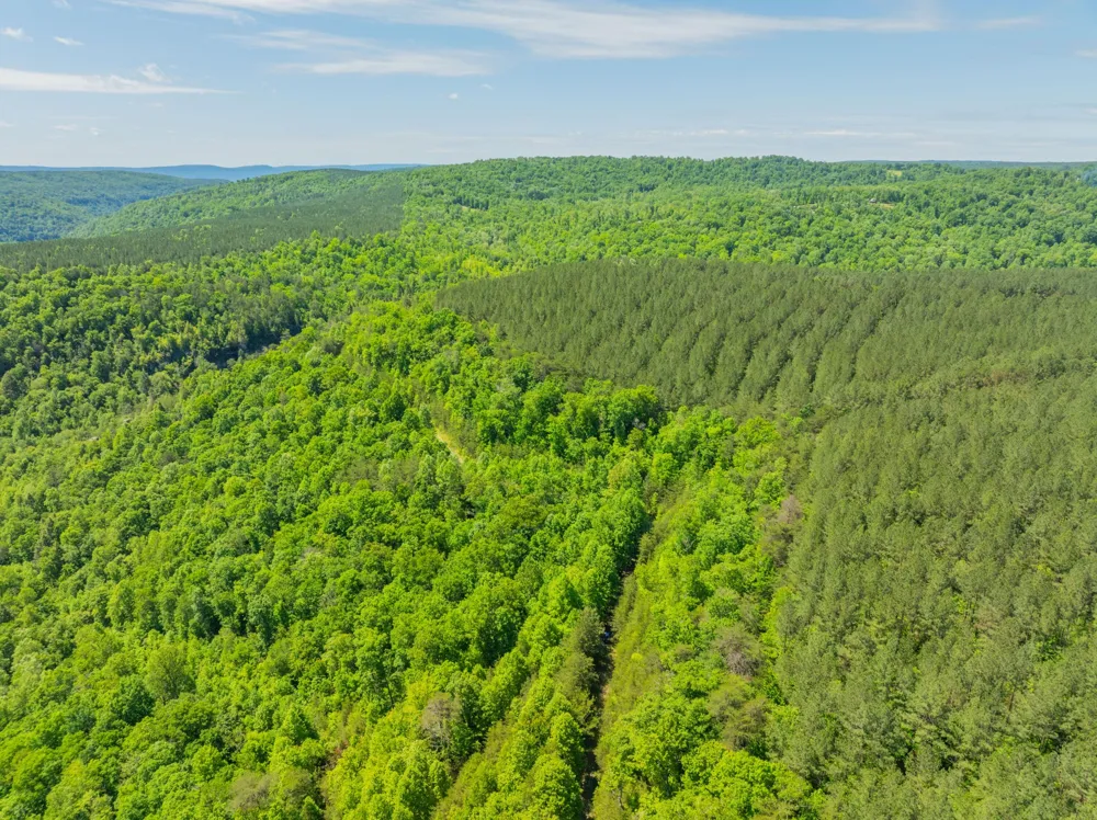 0 Echo Point Road Dunlap, TN 37327