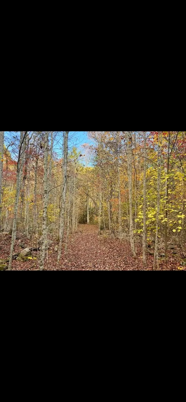0 Echo Point Road Dunlap, TN 37327