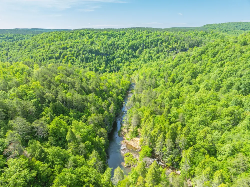 0 Echo Point Road Dunlap, TN 37327