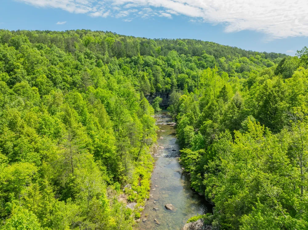 0 Echo Point Road Dunlap, TN 37327