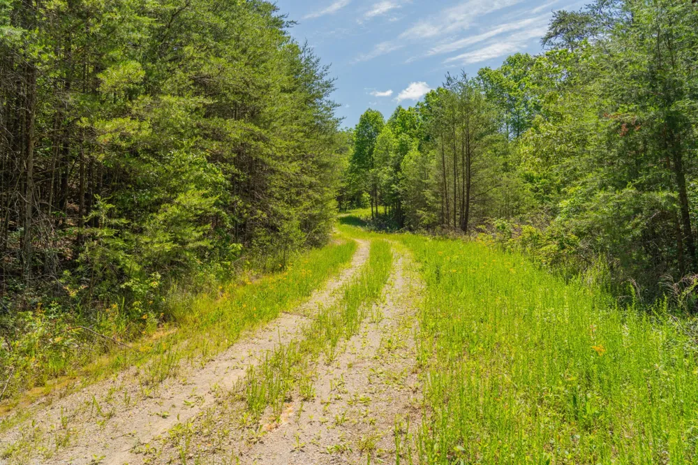 0 Echo Point Road Dunlap, TN 37327