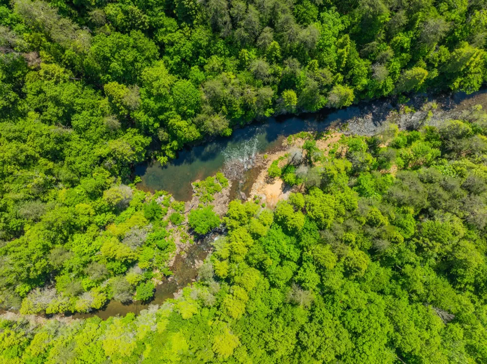 0 Echo Point Road Dunlap, TN 37327