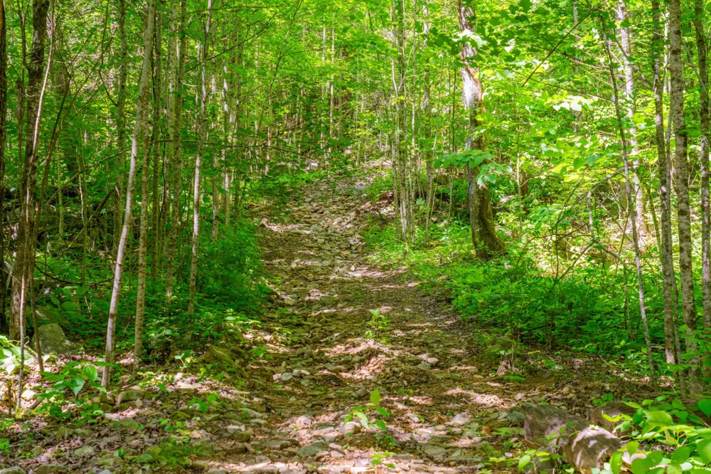 0 Echo Point Road Dunlap, TN 37327
