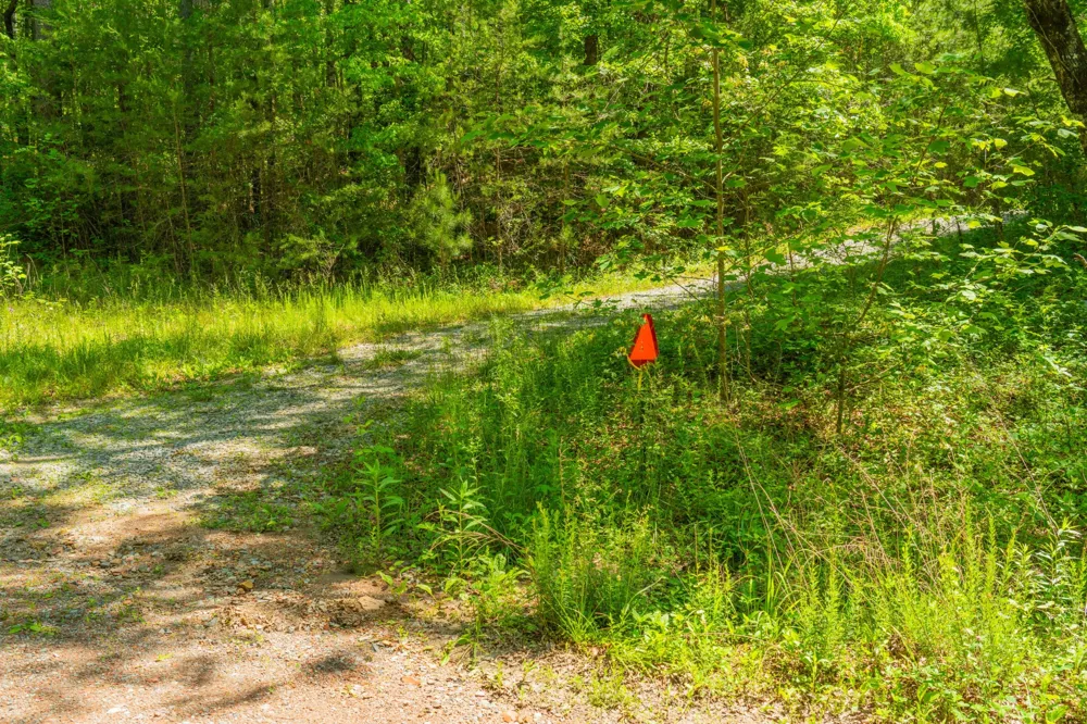 0 Echo Point Road Dunlap, TN 37327
