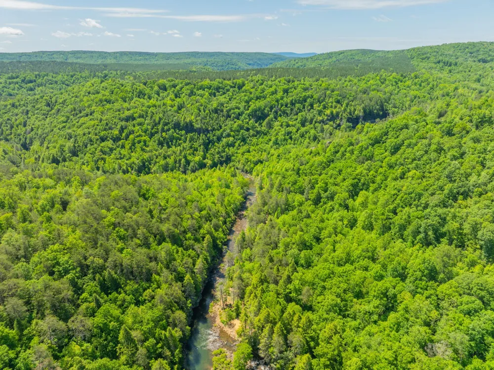 0 Echo Point Road Dunlap, TN 37327