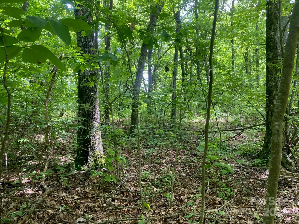 129 High Cliffs Trail Black Mountain, NC 28711