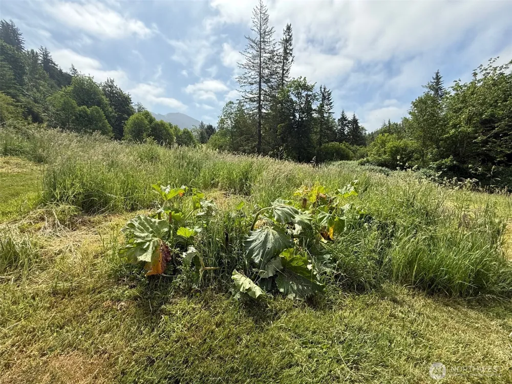 36508 312th Avenue SE Enumclaw, WA 98022