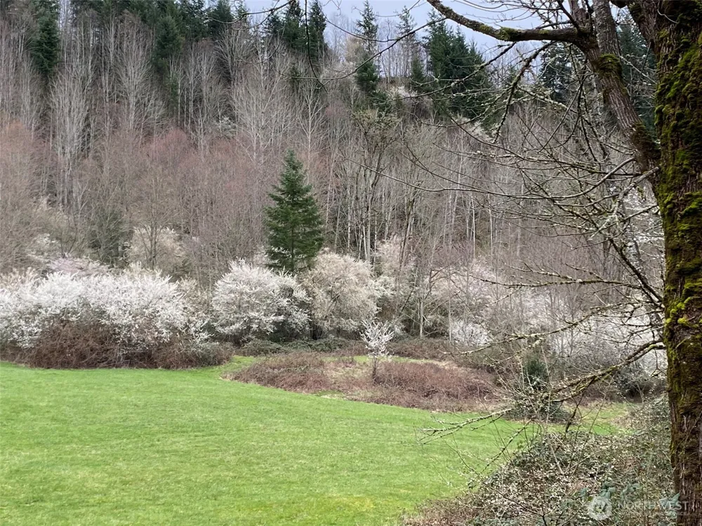 36508 312th Avenue SE Enumclaw, WA 98022