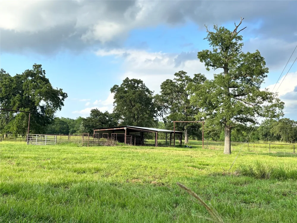 40062 Highway 105 Batson, TX 77519