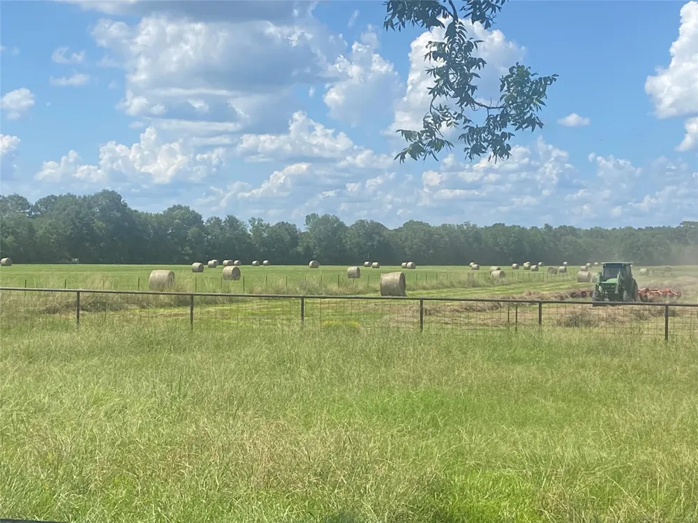 40062 Highway 105 Batson, TX 77519
