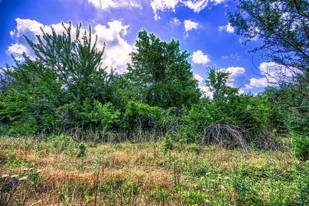 7 Wonder Hill Road Chappell Hill, TX 77426