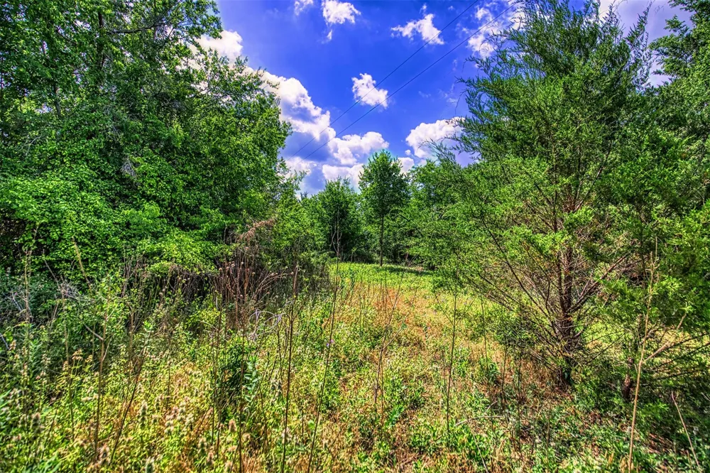 7 Wonder Hill Road Chappell Hill, TX 77426