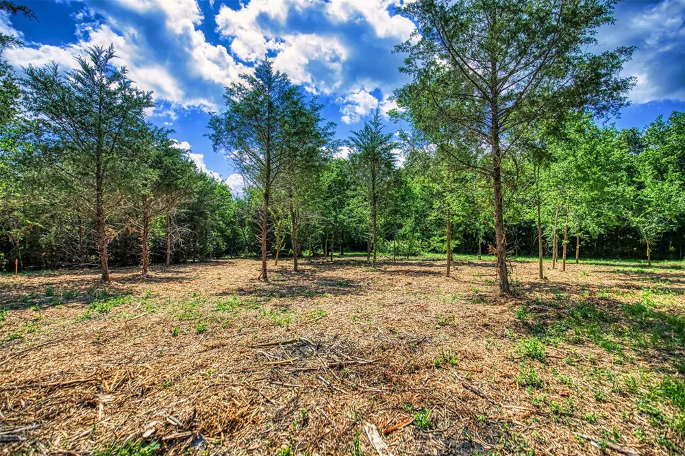 9 Wonder Hill Road Chappell Hill, TX 77426