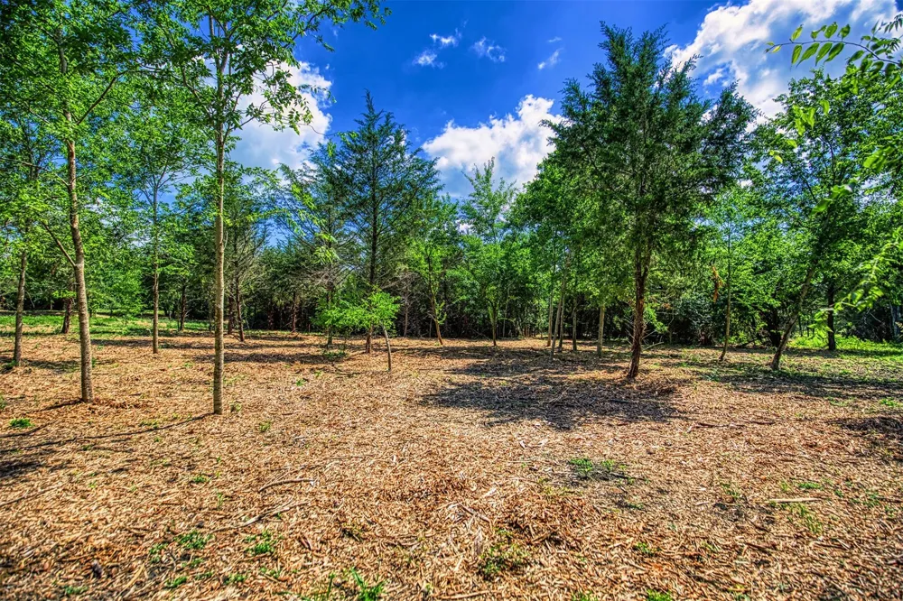 9 Wonder Hill Road Chappell Hill, TX 77426
