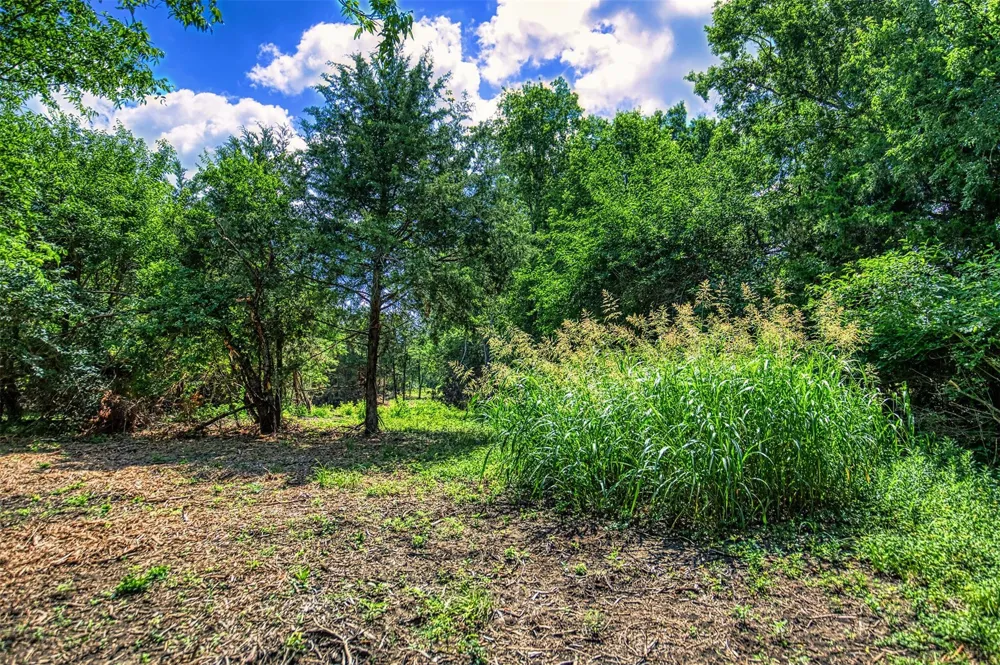 9 Wonder Hill Road Chappell Hill, TX 77426