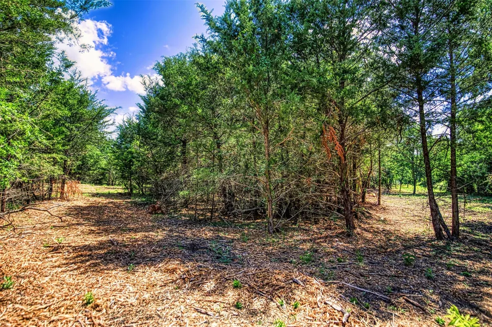 9 Wonder Hill Road Chappell Hill, TX 77426