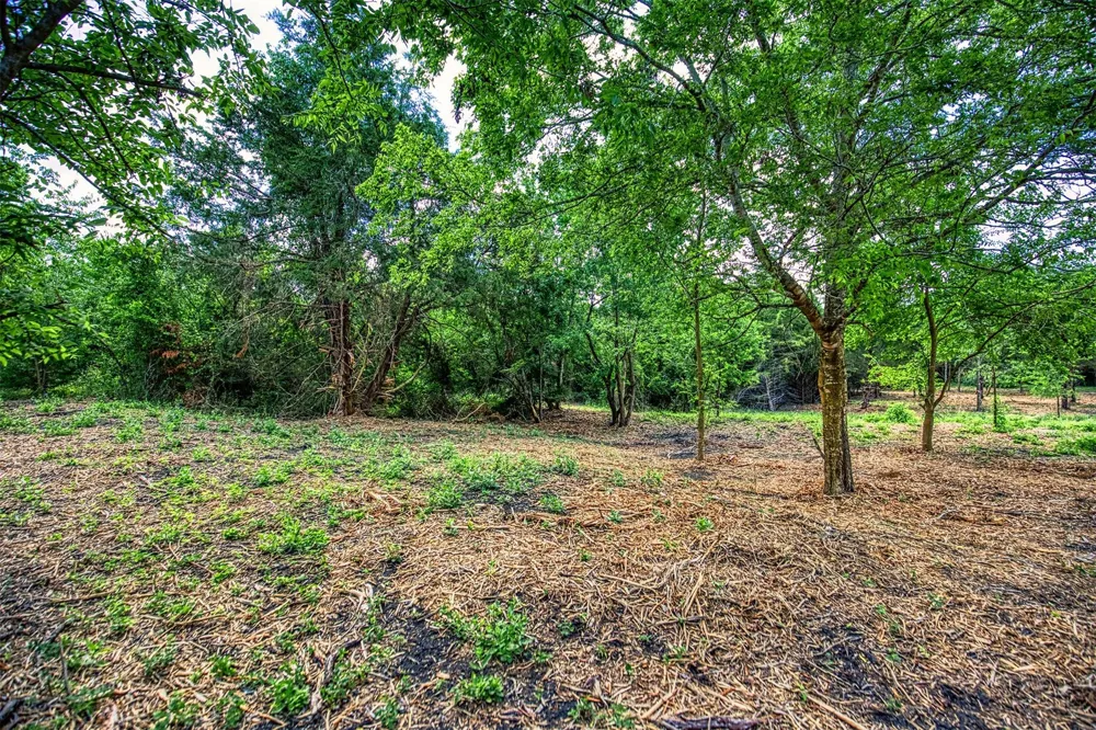 8 Wonder Hill Road Chappell Hill, TX 77426