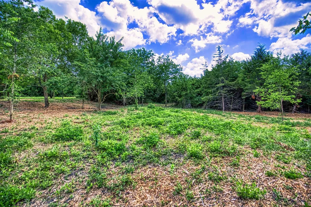 8 Wonder Hill Road Chappell Hill, TX 77426