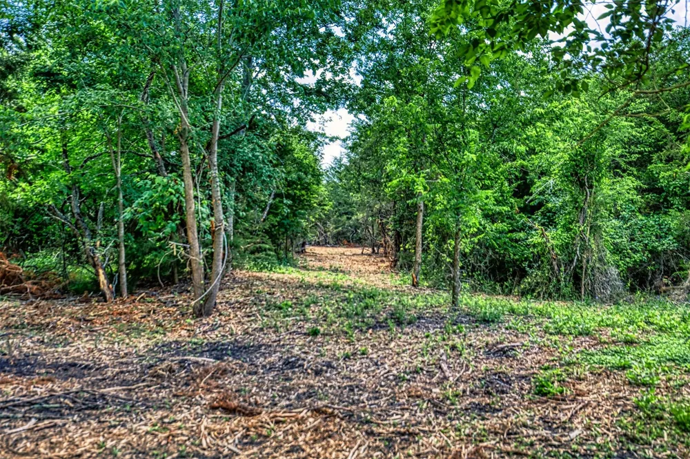 8 Wonder Hill Road Chappell Hill, TX 77426