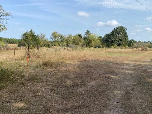 Archie Road Huntsville, TX 77320