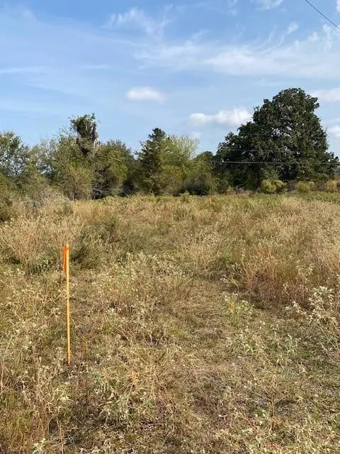 Archie Road Huntsville, TX 77320