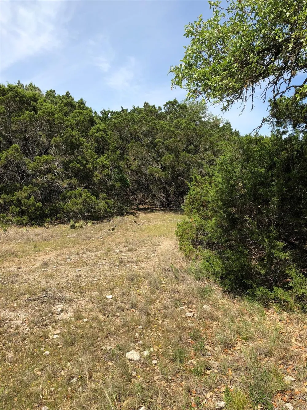 857 Rutherford Fischer, TX 78623