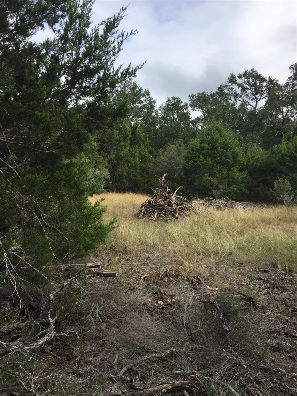 857 Rutherford Fischer, TX 78623