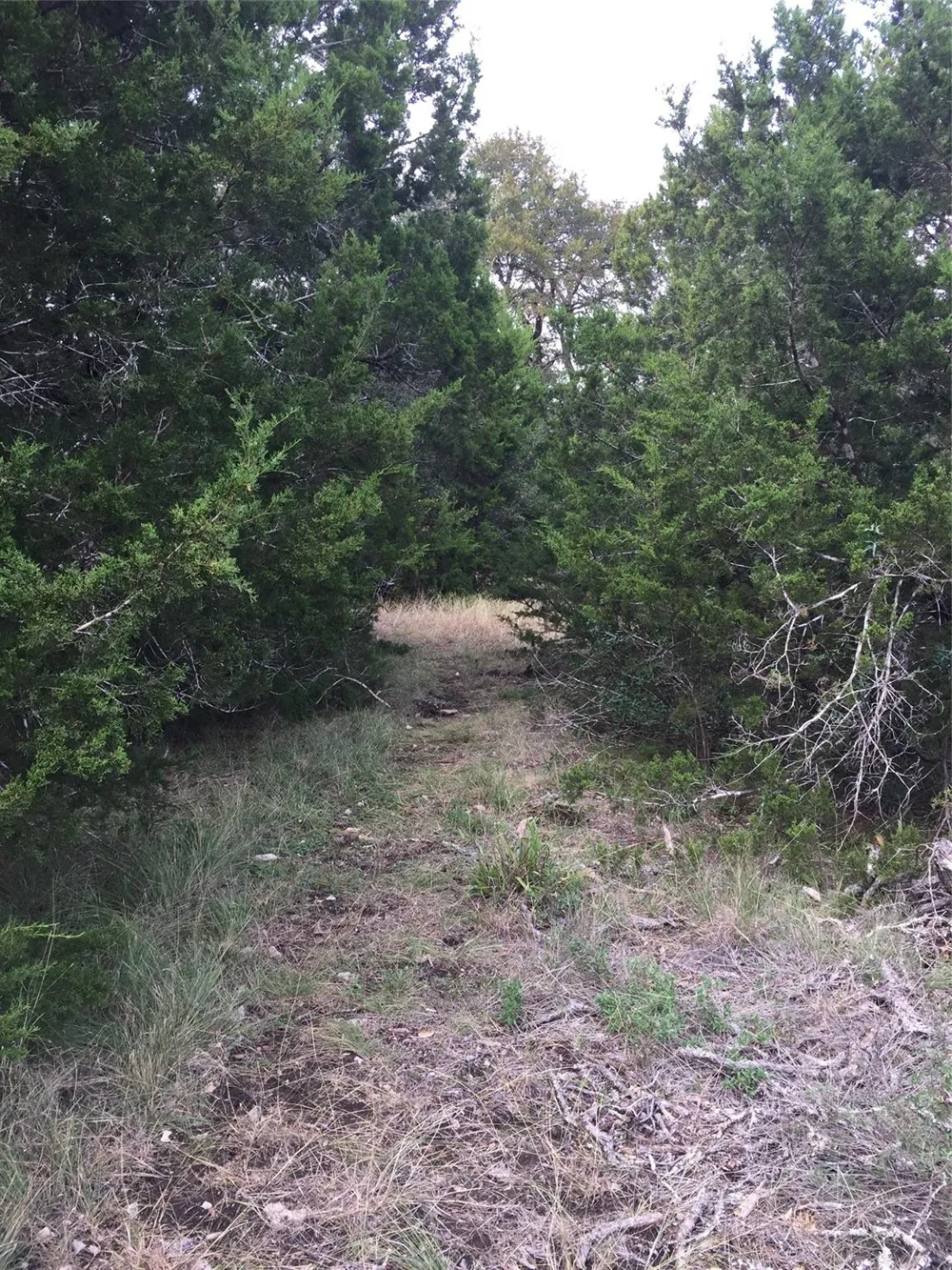 857 Rutherford Fischer, TX 78623