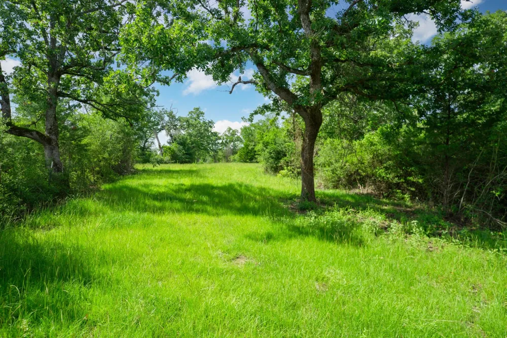 6443 Us Highway 79 W Buffalo, TX 75831
