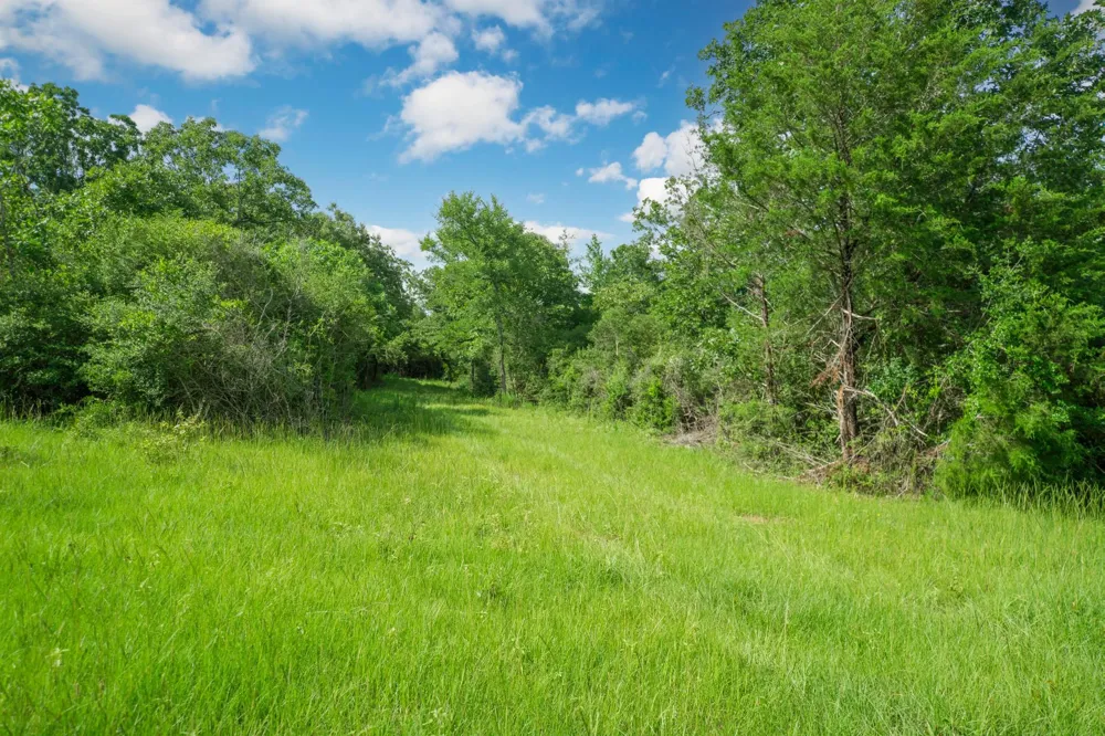 6443 Us Highway 79 W Buffalo, TX 75831