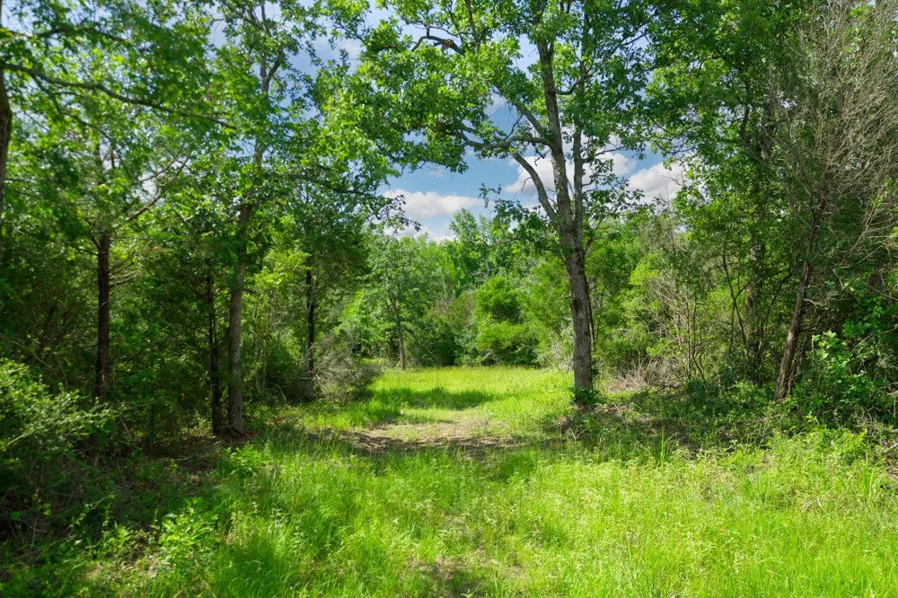 6443 Us Highway 79 W Buffalo, TX 75831