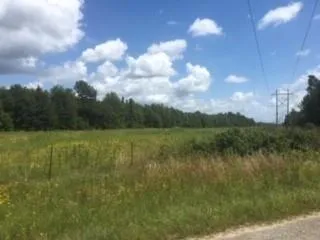 Springtown    Aka  Fm 2914 Road Shepherd, TX 77371