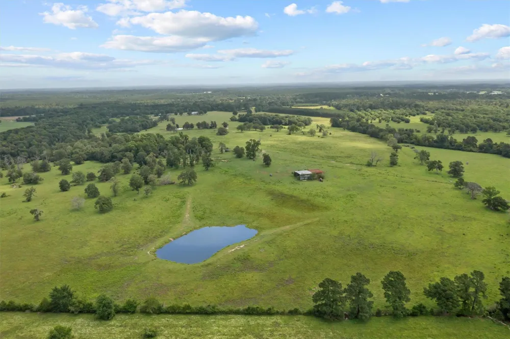 2421 Fm 1280 W Lovelady, TX 75851